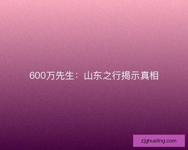 600万先生：山东之行揭示真相